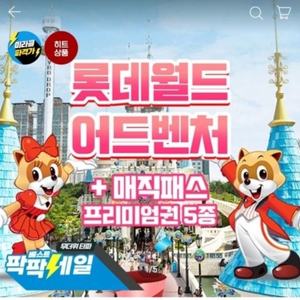 롯데월드 매직패스 (+종일권) 12/25~12/31