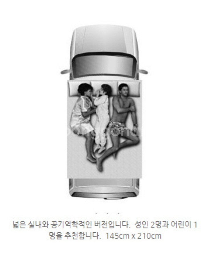 오토홈 에어패스 에어탑 그레이m 낮은 루프탑텐트--2