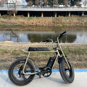 MOPEZ 모페즈 350 전기 자전거