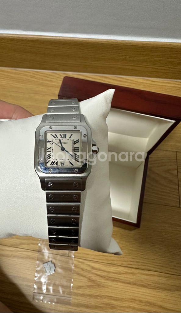 까르띠에 산토스--1