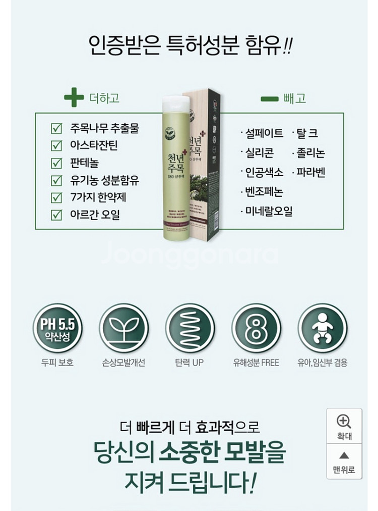 천년주목샴푸--4