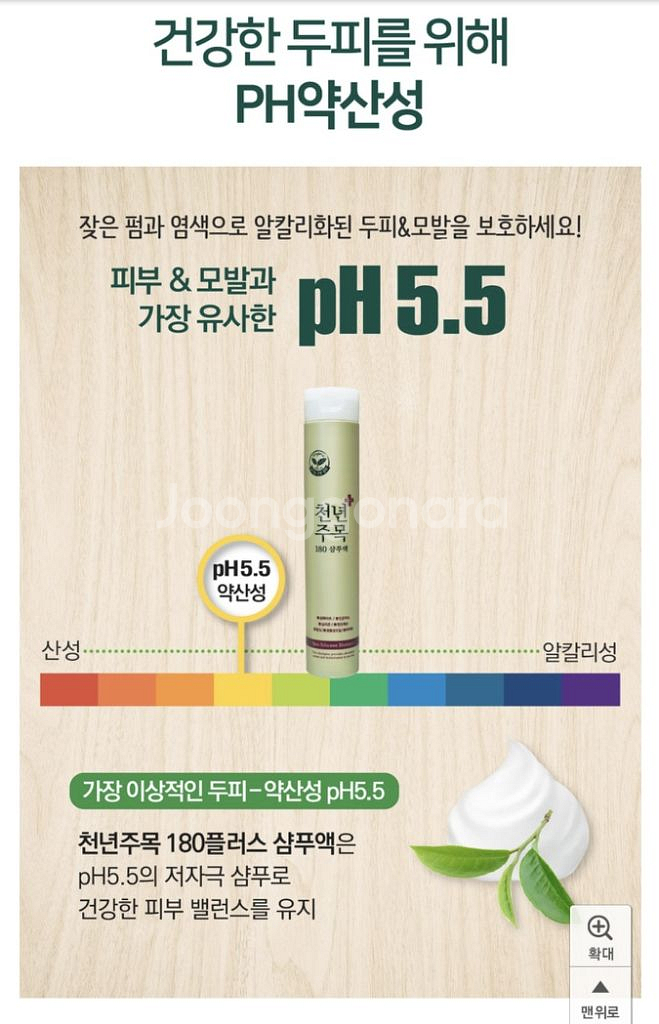 천년주목샴푸--7
