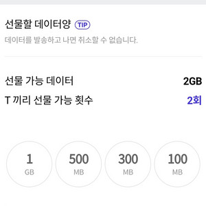 SKT 1기가