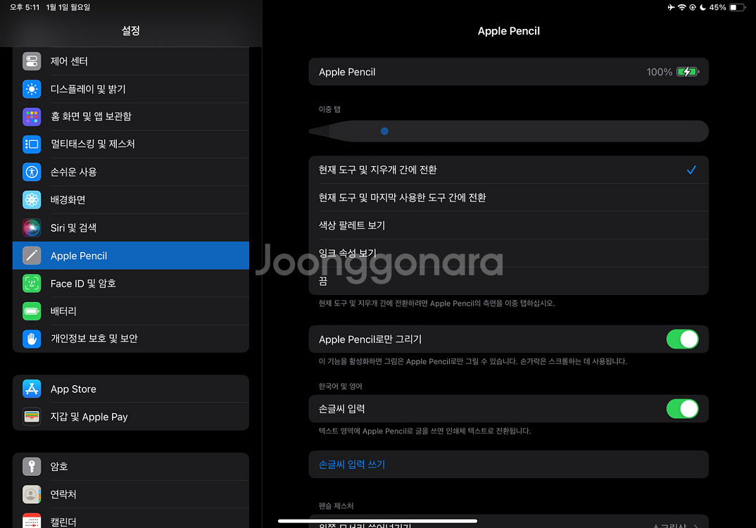 애플팬슬 2세대 s급--2