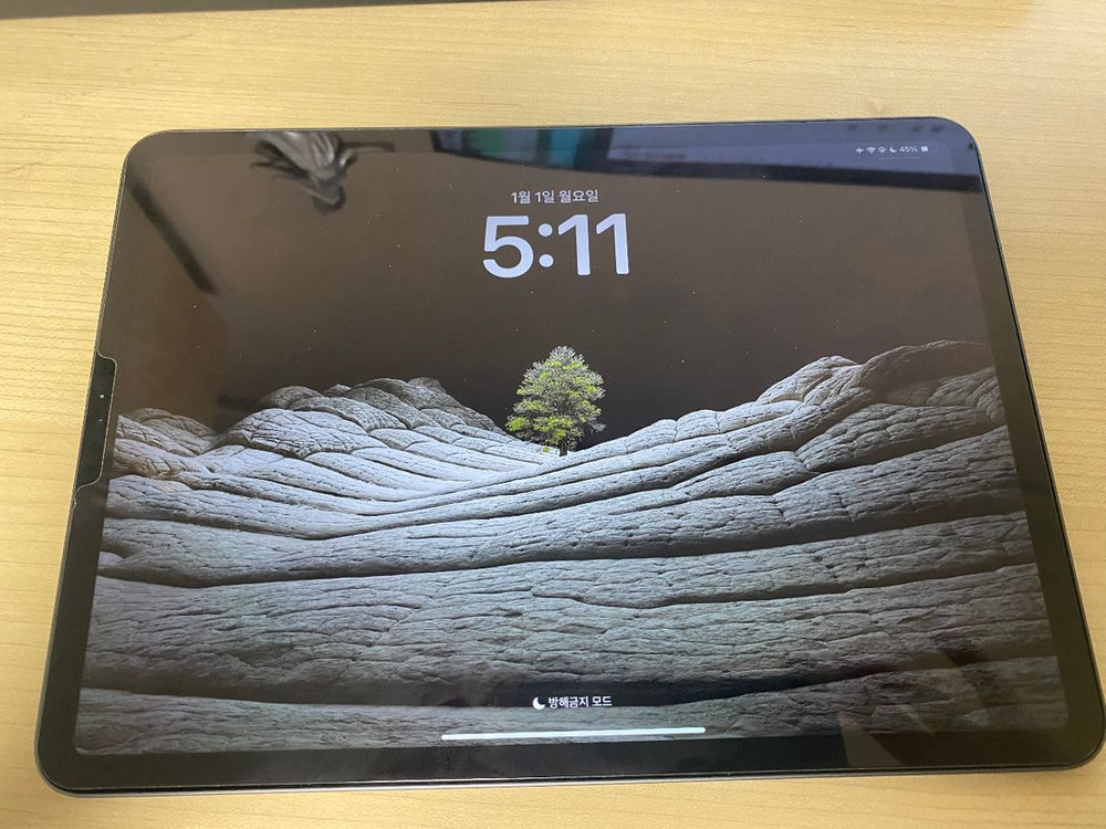 아이패드 프로 2세대 11인치 S급--0