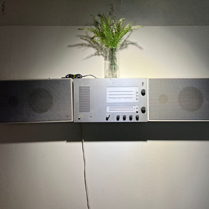 디터람스 ts45 l450 급처합니다
