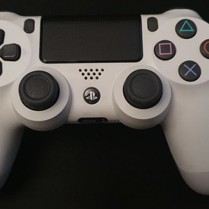PS4 듀얼쇼크4