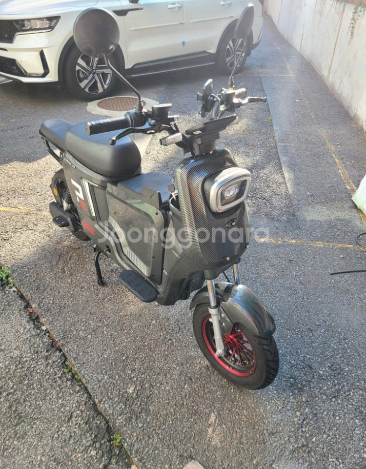 지무브ge 48v50ah--3