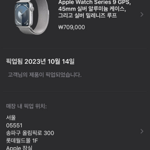 애플워치 9 45mm gps 실버 알루미늄