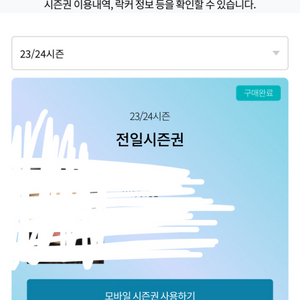 곤지암시즌권 전일권