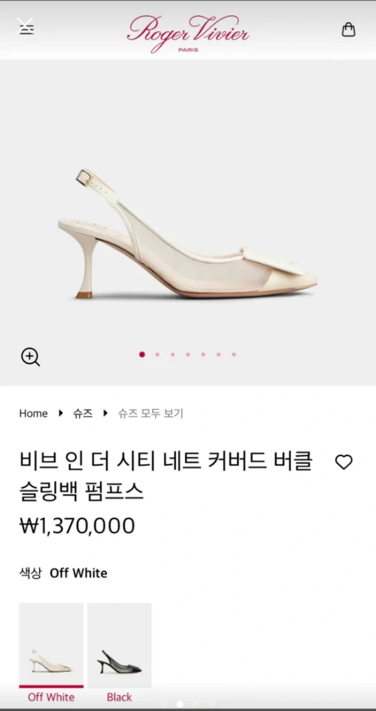 로저비비에 슬링백 이미지