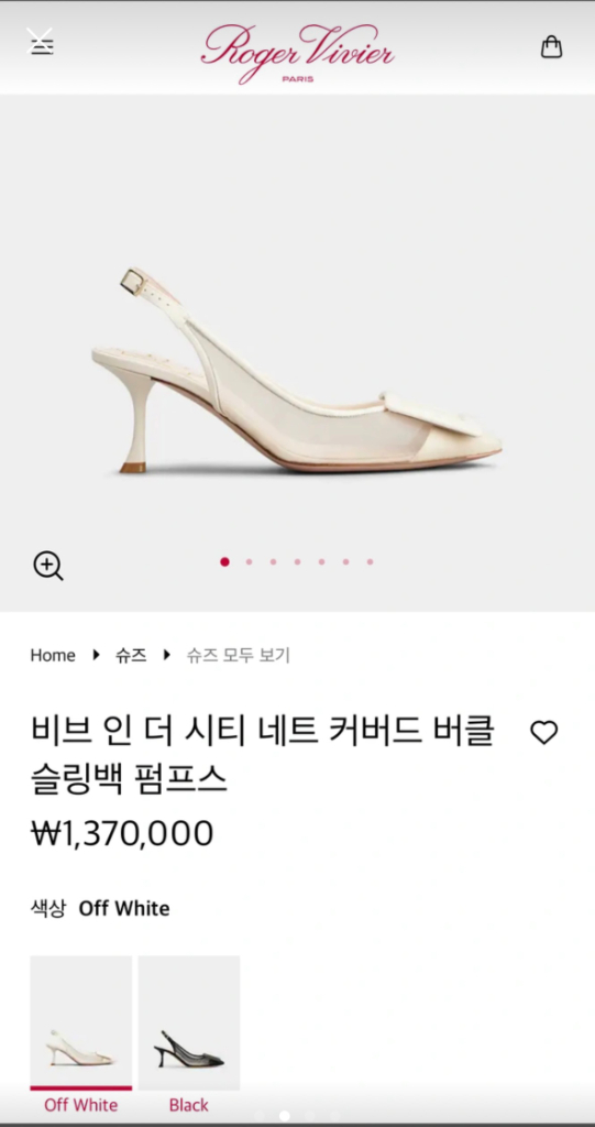 로저비비에 슬링백--1