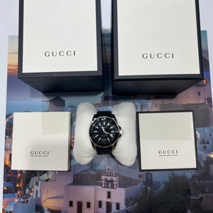 GUCCI 구찌 시계 다이브 45mm