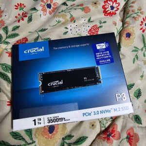 미개봉) NVME 1TB SSD