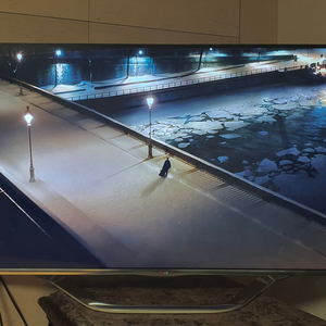 TV LG 55인치