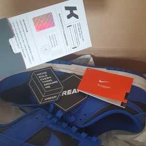 나이키 덩크로우 코발트 블루 280