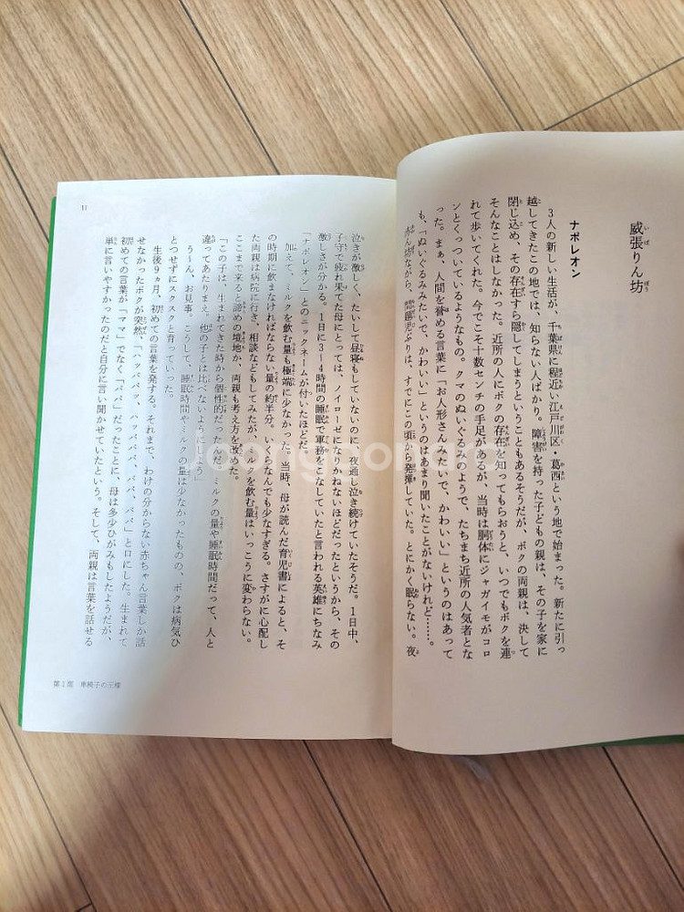 오체불만족(오토다케 히로타다) 일본어 원서 택배비 포함--2