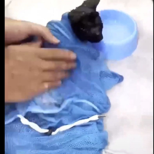고양이 목욕 그물망