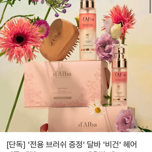 달바 비건 헤어세럼100ml+50ml+헤어브러쉬