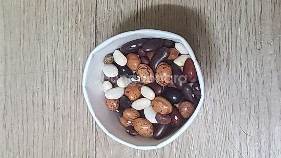 식용콩3가지씨앗--1