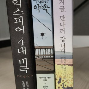 셰익스피어4대비극,돌이킬 수 없는 약속,만나러 갑니다