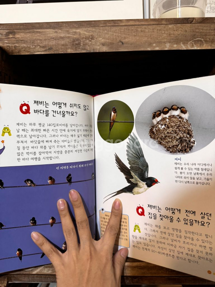 [유아 과학 전집] 과학 좋아하는 아이 _싹 가져가세요--8