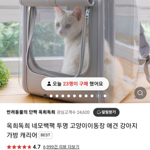 옥히독히 강아지 고양이 반려동물 캐리어