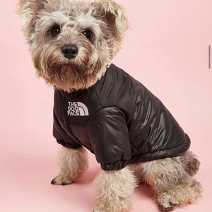 겨울 애완견 옷, 강아지 따뜻한 방풍 재킷, 강아지패딩