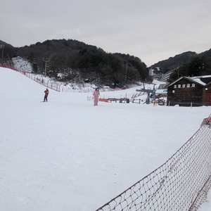 무주리조트 시즌권통합권 35만원에 삽니다