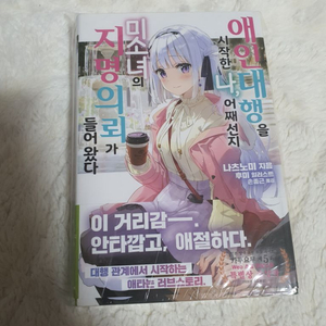 애인대행 라노벨 팔아요