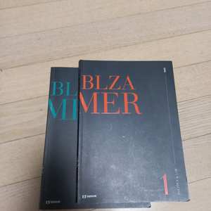 최여름 정법 blza summer 개념+기출