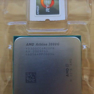 AMD 3000G CPU