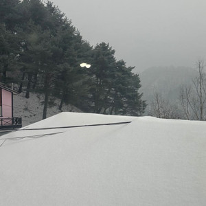 비발디파크 시즌권 25만 양도비 판매자 부담