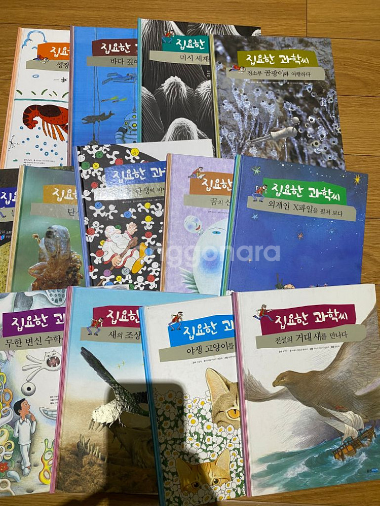 집요한 과학씨 31권--2
