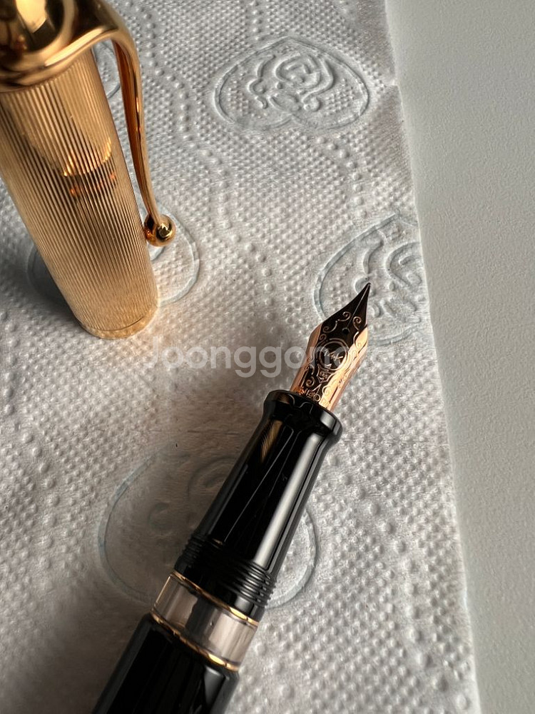 만년필 오로라 88(오탄도트) 골드스트라이프 14k--1