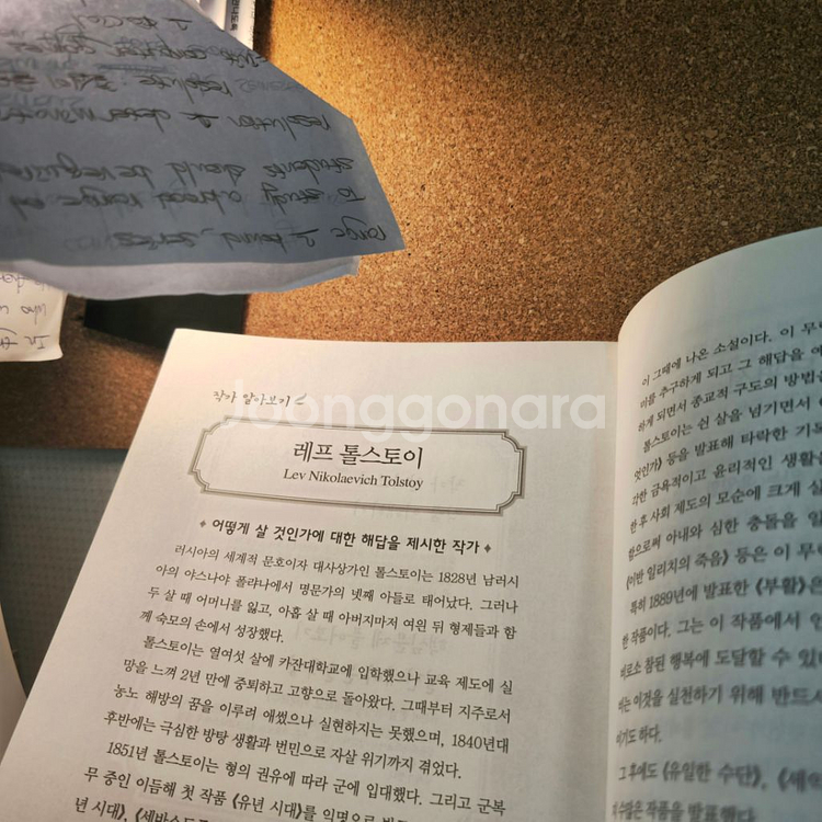 세계 문학책 낱개 [새 책만 모음]--3