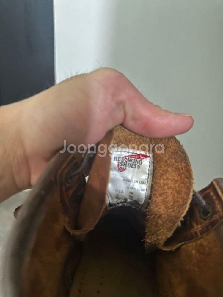 레드윙 목토 250사니즈--1