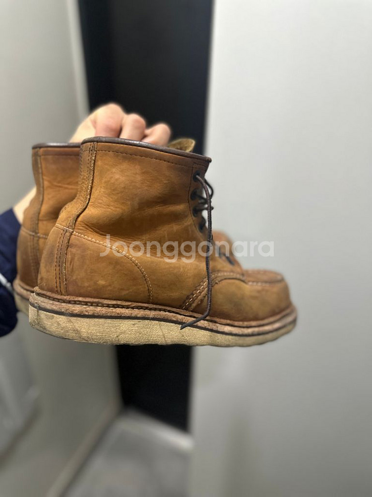 레드윙 목토 250사니즈--2