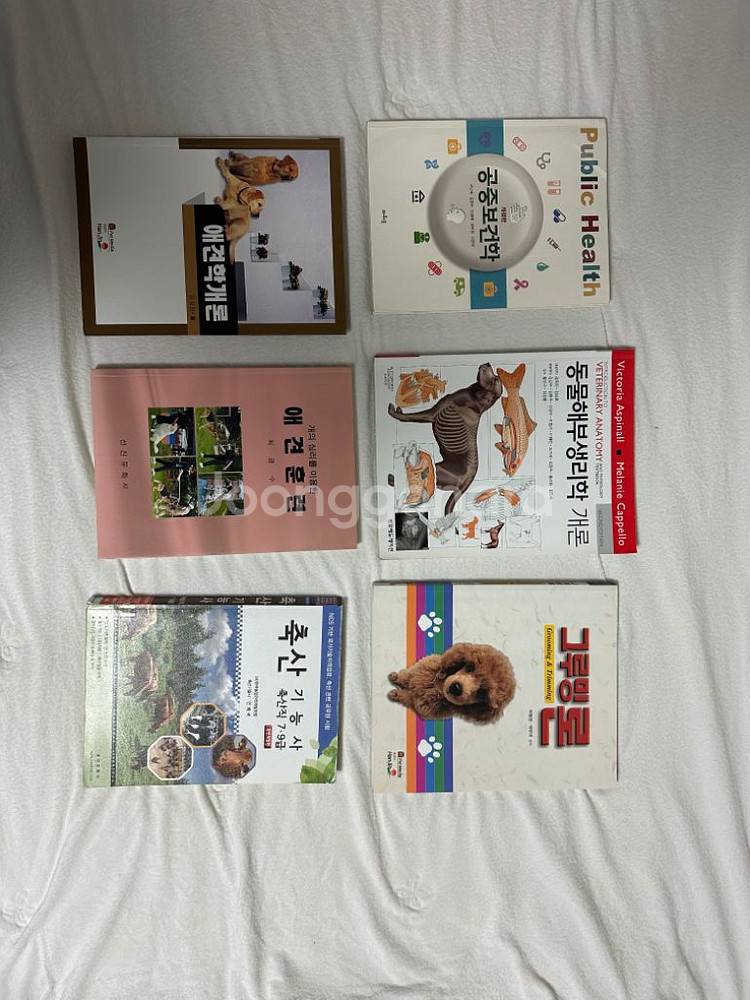 소설 메트로 , 전공 서적 판매합니다--2