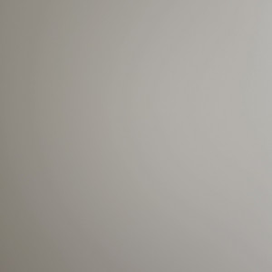 최지혜님
