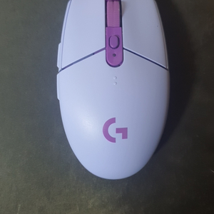 g304 예약