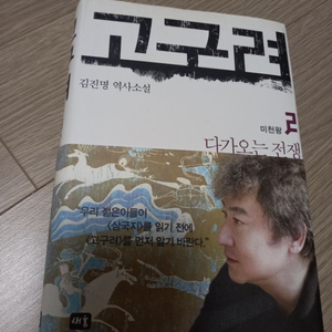 고구려 김진명 역사소설 2,4,5권