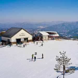 2/9-2/11 설연휴 휘닉스 평창 스카이스탠다드 양도