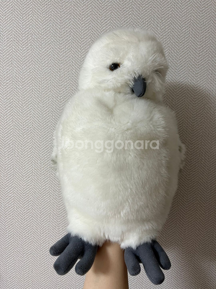 해리포터 헤드위그 인형 유니버셜 스튜디오 정품--1