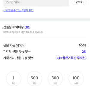 skt데이터1기가