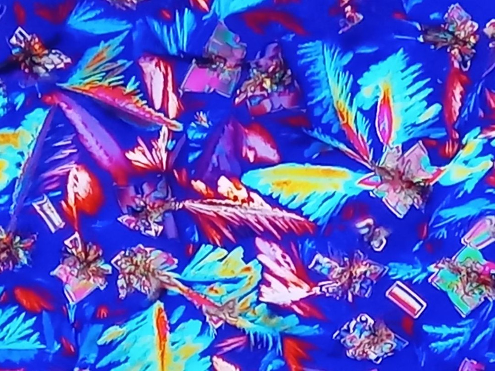 현미경 라이카편광현미경 이미지