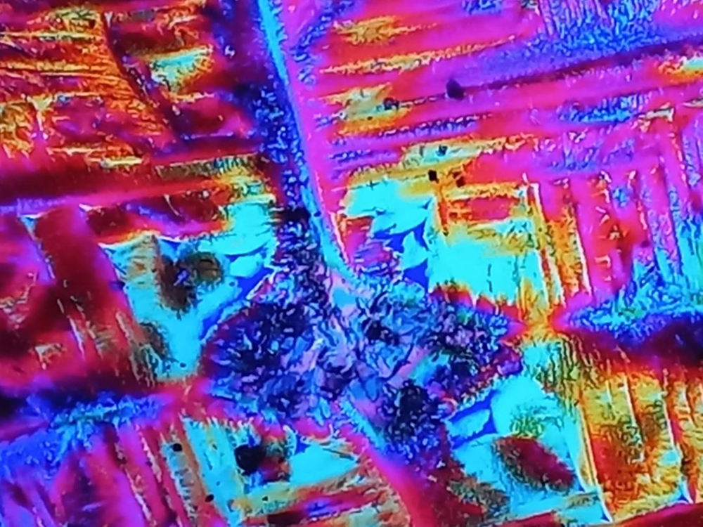 현미경 라이카편광현미경 이미지