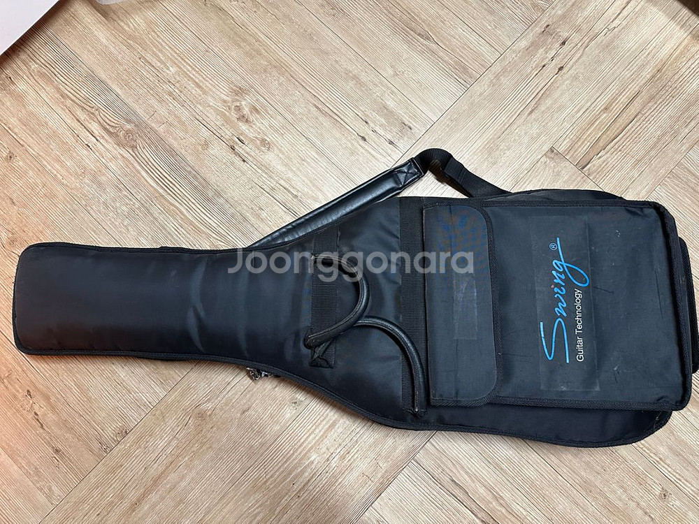 스윙일렉기타와 레이니엠프--0