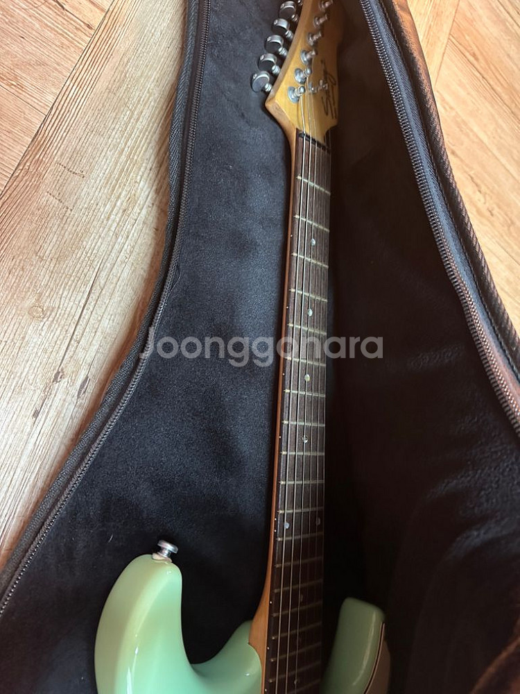 스윙일렉기타와 레이니엠프--1