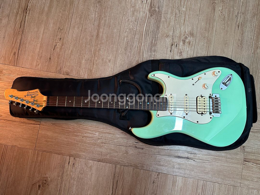 스윙일렉기타와 레이니엠프--2